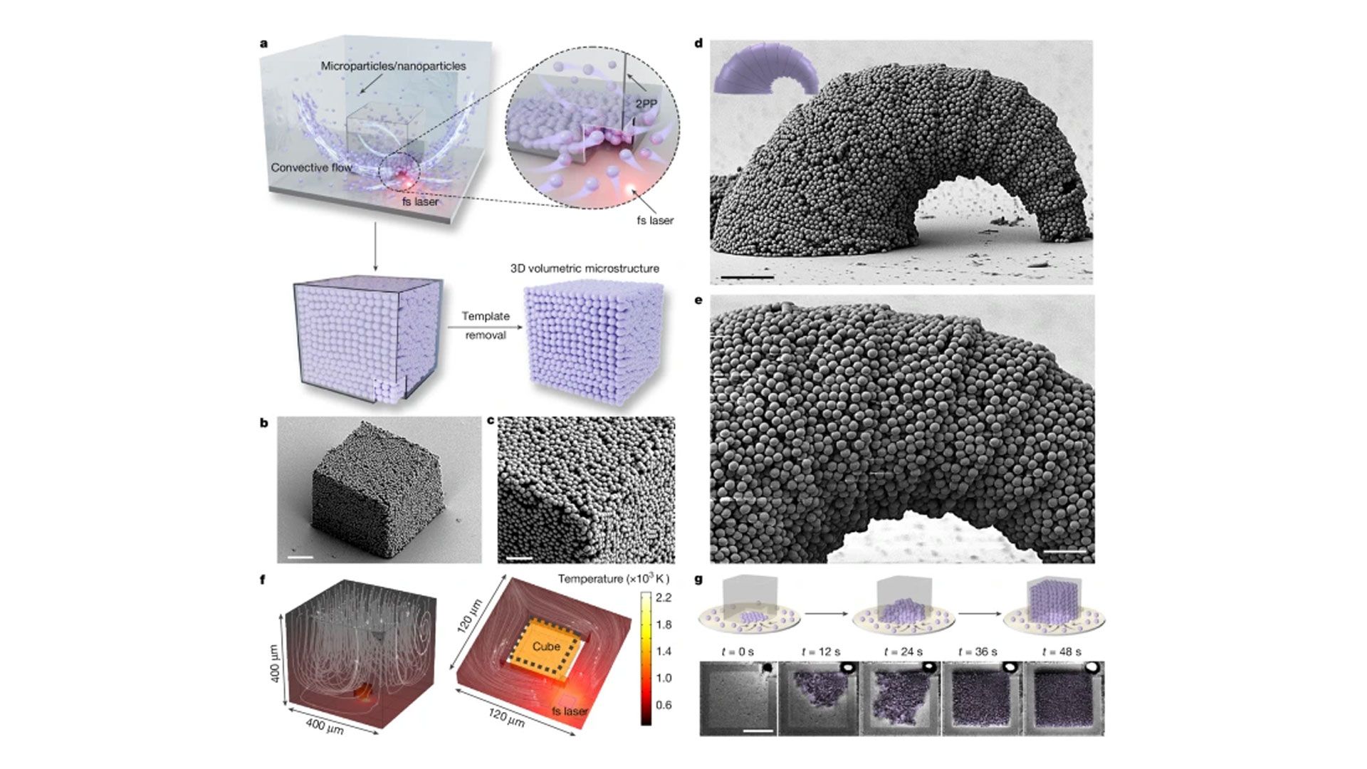 Prof. Dr. Metin Sitti’nin 3D Mikro/Nano-Üretim Çalışması  Nature ’da