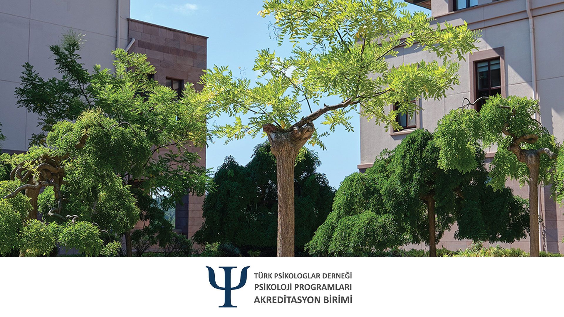 Psikoloji Lisans Programımız Yeniden Akredite Oldu