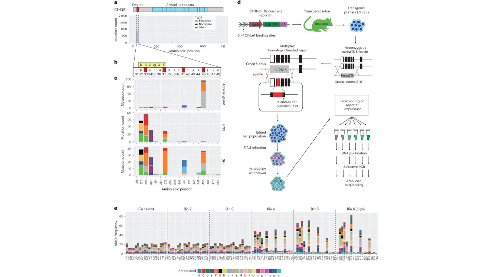 Tek Bir Gen, Farklı Kanser Davranışları